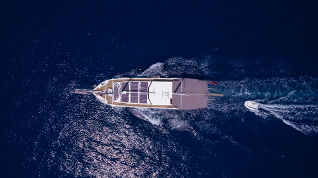 Gallery Thumbnail 5